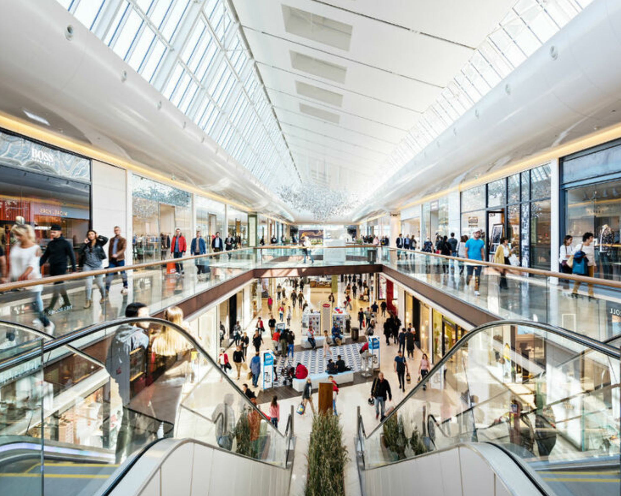 Installation de caméras de sécurité dans un commerce de grande distribution.